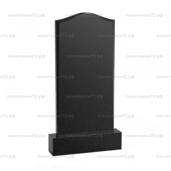 Форма-031